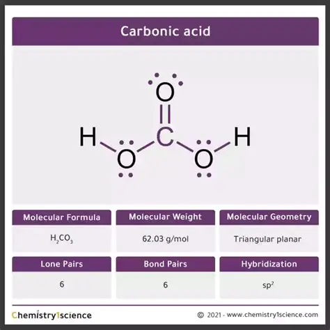 Molecular Weight of Carbonic Acid