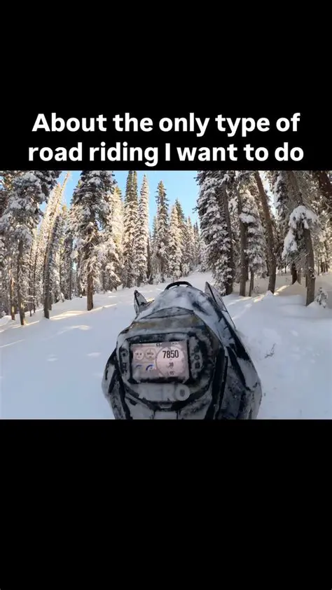 Momentum of a Second Snowmobile