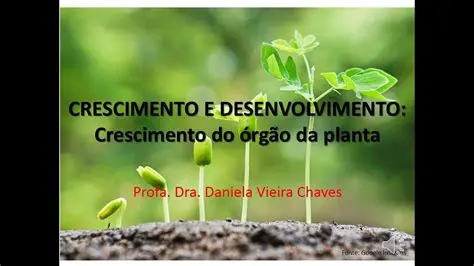 Monitorar o crescimento e o desenvolvimento das plantas