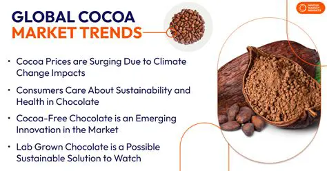 Monitoring of the global cocoa market