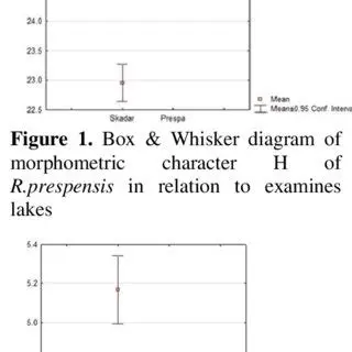 Morphometric Character Analysis