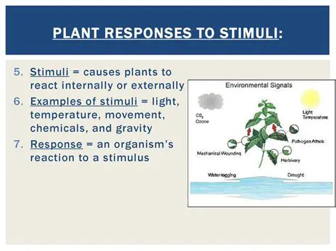 Movement and response to stimuli