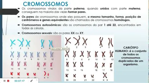 Movimento dos Cromossomos para os Polos Opostos