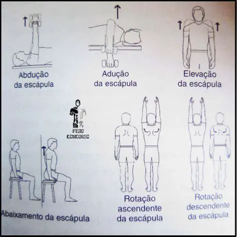 Movimentos dos Membros Superiores