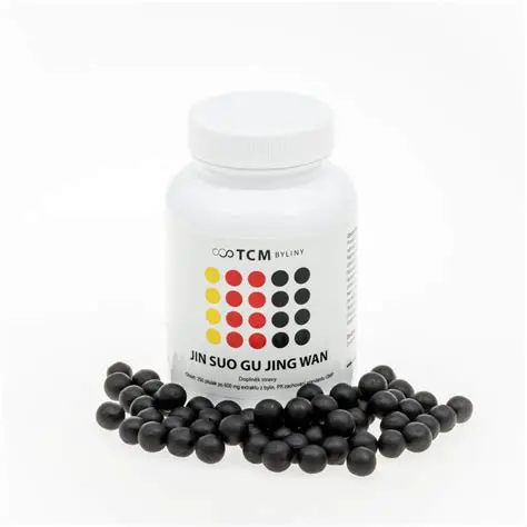 木乃伊揭秘：探索古埃及的永生奧秘