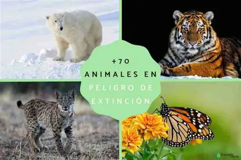 Muerte de plantas y animales