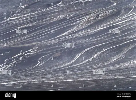 Natural Patterns and Lines