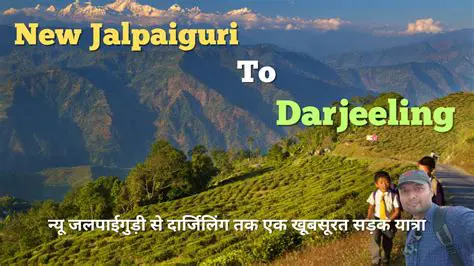 Navigating New Jalpaiguri's Climate: Your Essential Guide to iWeather NJP Forecasts