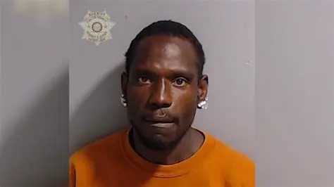 Navigating Public Records: Understanding Ink Free News and Fulton County, Indiana Mugshots