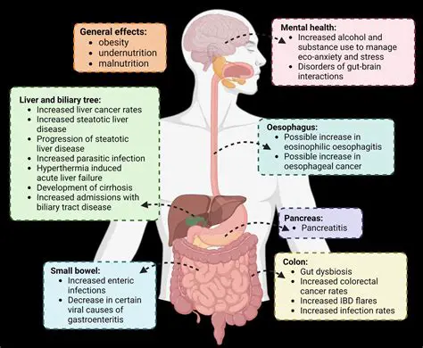 Negative Impact on Gut Health