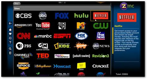 Netflix instant streaming content