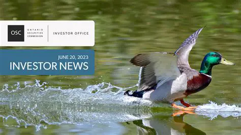 Netflix Stock Soars: OSC Announces Major Content Boost and Global Expansion Plans