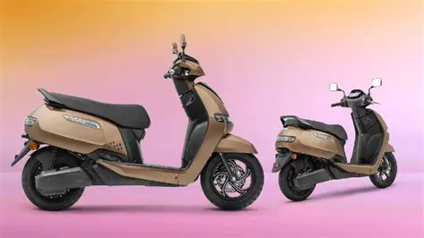 New TV News Model Variants