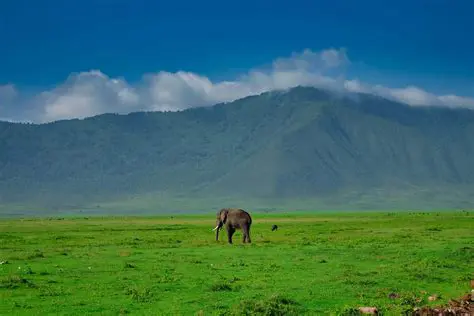 Ngorongoro Crater Tanzania Weather: Your Essential Guide for an Unforgettable Safari