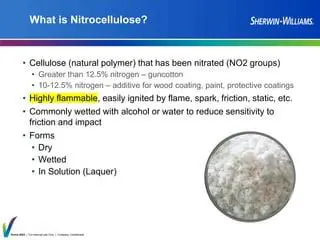 Nitrocellulose Factory Design