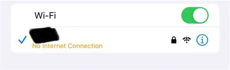 No Internet Connection Needed