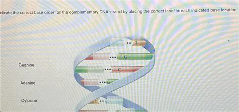 Not using the correct base