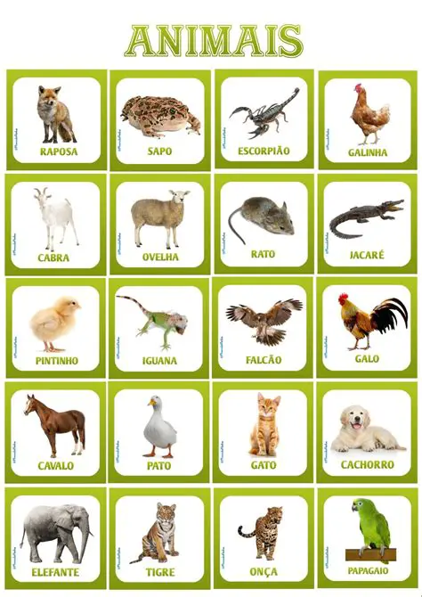 O Conjunto de Nomes de Animais