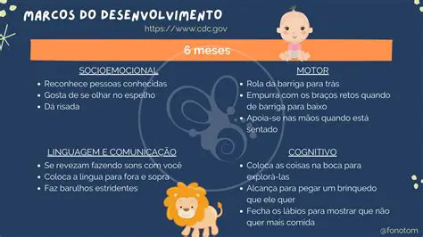 O Desenvolvimento do Leitores