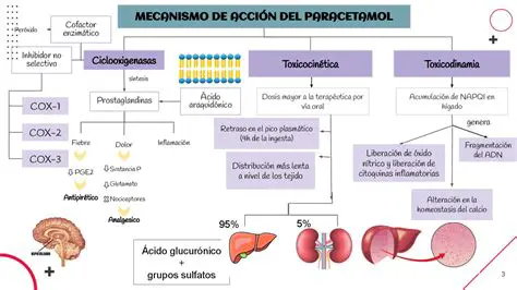 O Mecanismo de Controle do pH
