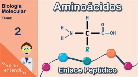 O Papel do Grupo Amino no Metabolismo