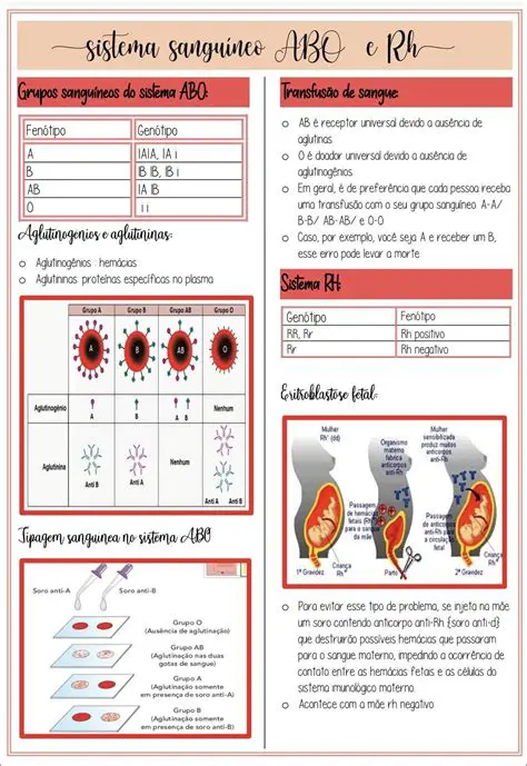 O Sistema ABO e a Medicina Transfusional