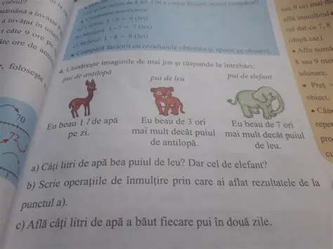 Observa Imaginile de Mai Jos Apoi Raspunde la Intrebari