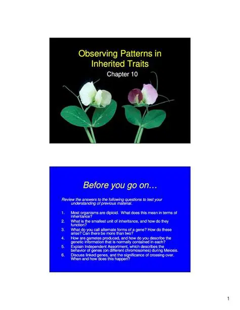 Observing Patterns and Outcomes