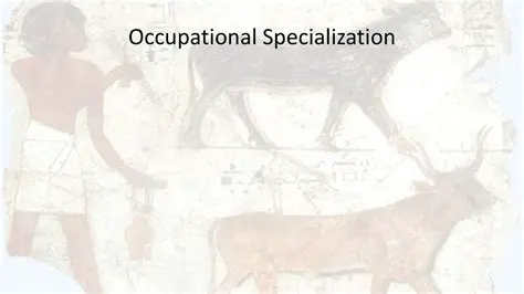 Occupational specialization
