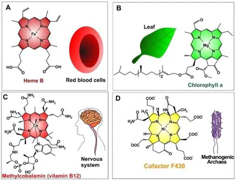 Occurrence in Various Compounds