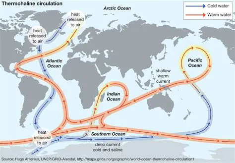 Ocean circulation patterns