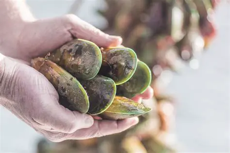 ODT Files: Unlocking the Power of OpenDocument Text for New Zealanders