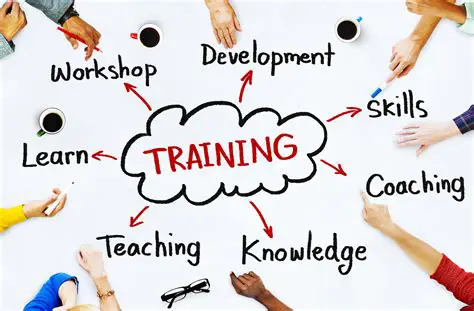Offer training and development