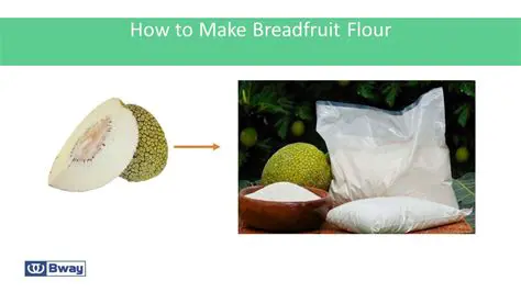 Optimization of Breadfruit Flour