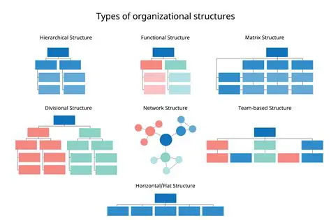 Optimization of Company Structure