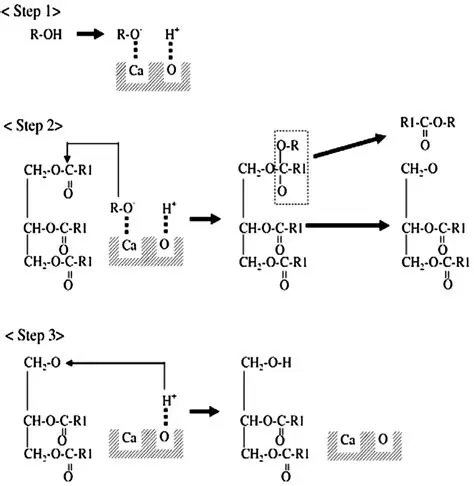 Optimization of Glycerolysis Reaction Conditions Using CAO Catalyst