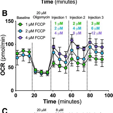 Optimization of sinbiotic dose