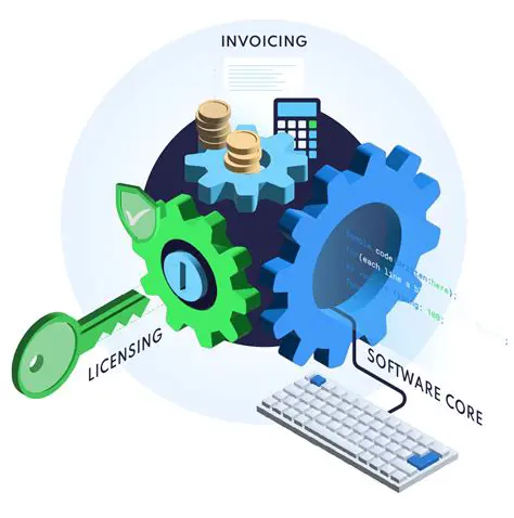 Optimizing Software Licenses and Reducing Costs