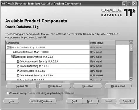 Oracle components installation is not necessary