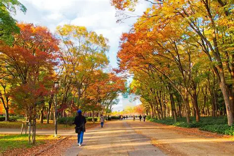 Osaka Weather in October: Your Ultimate Guide to Autumn Adventures