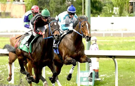 Oscots Charlieu's SC BBC: Unpacking the Legacy and Future of a Regional Sporting Powerhouse