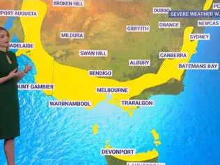 OSCPSEI, Newport, SC News, and Weather Underground: A Comprehensive Guide to Local Information