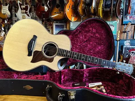 Otaylor 816ce SC: Unveiling the SCBuilder's 39;s SSC Edition - A Masterclass in Acoustic Excellence