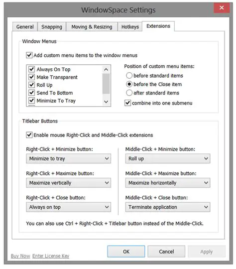 Other Features of WindowSpace