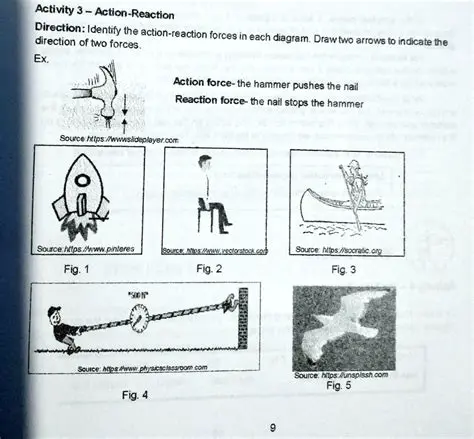 Other Forces Acting on the Dog