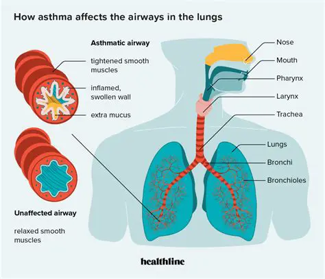 Other Lung Sounds in Asthma