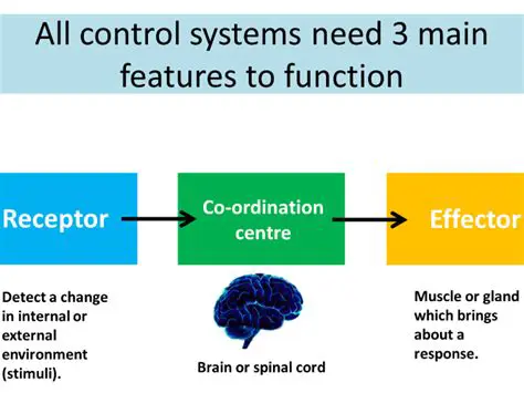 Other Processes Related to Nervous System Communications