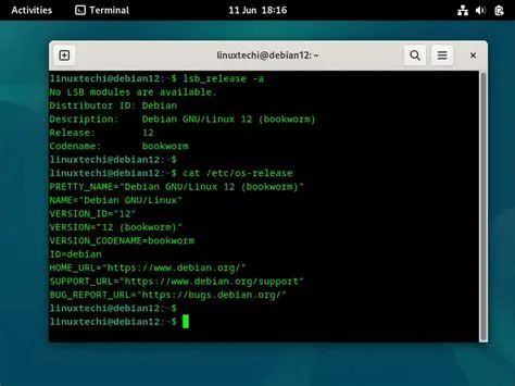 Overriding DNS in Debian 12