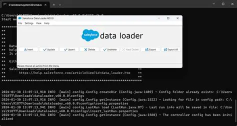 Overview of Data Loader Professional Edition