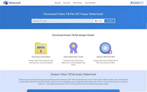 Overview of TLO Web Downloader